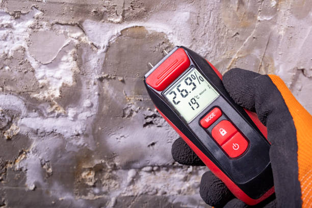 Best Home Mold Removal  in Healdsburg, CA