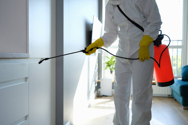 Best Mold Removal Company Near Me  in Healdsburg, CA