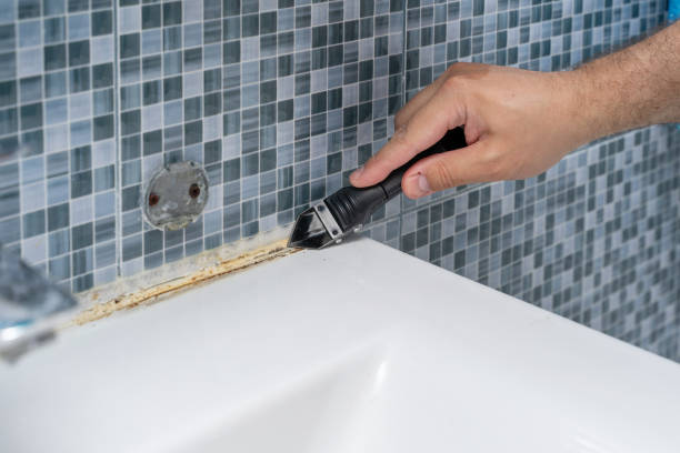 Best Residential Mold Removal  in Healdsburg, CA