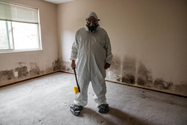 Best Mold Testing  in Healdsburg, CA
